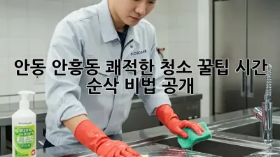 안동 안흥동 쾌적한 청소 꿀팁🍯✨ 시간 순삭 비법 공개!
